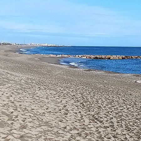 Logement Plage Saint-Cyprien  Zewnętrze zdjęcie