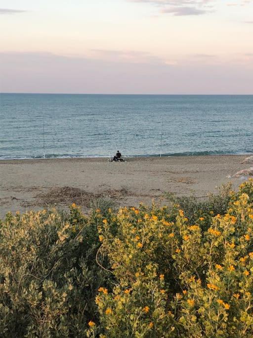Logement Plage Saint-Cyprien  Zewnętrze zdjęcie